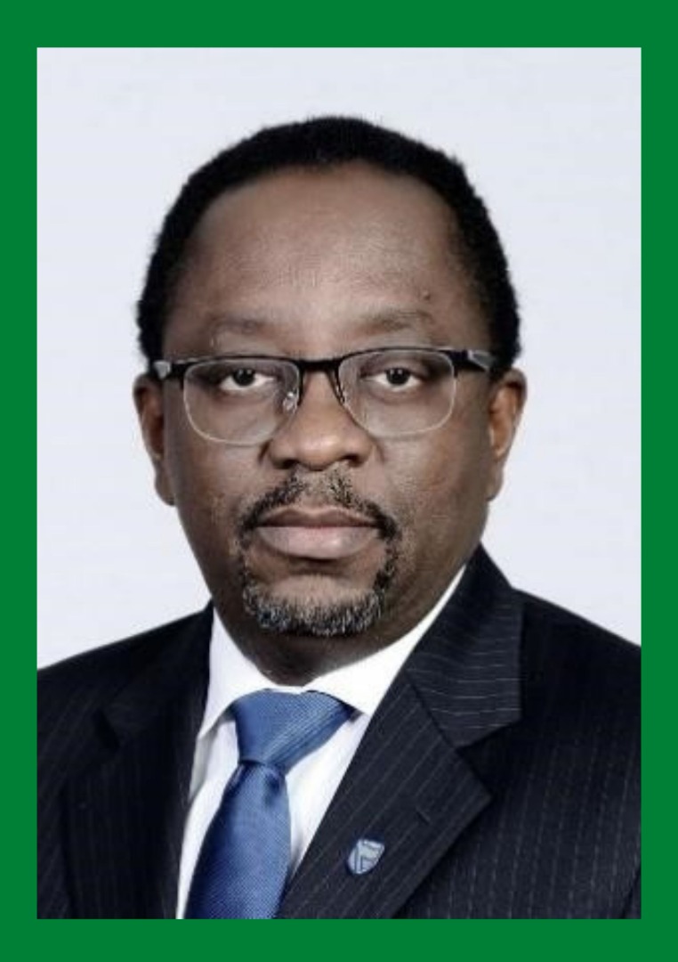 Prof. Fabian Ajogwu SAN Elected President Of The Nigerian Institute Of ...